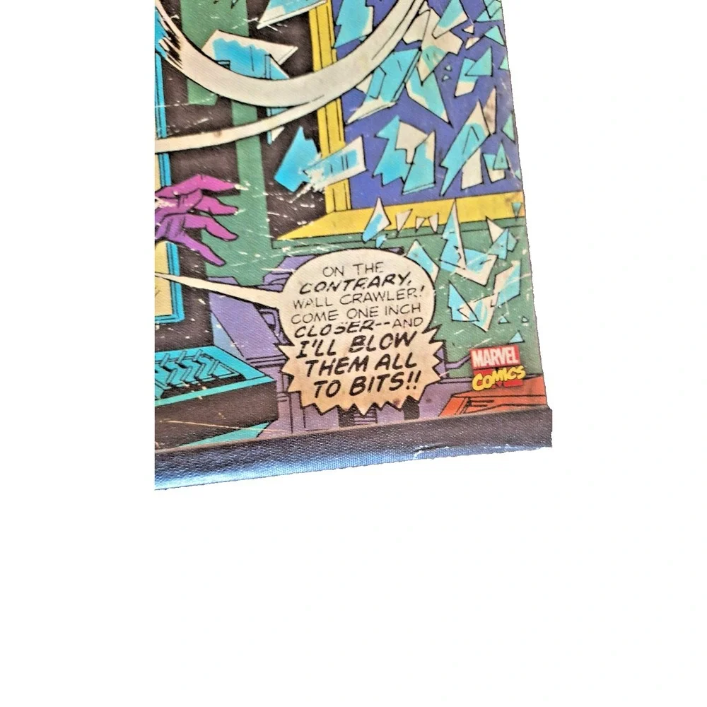 Marvel Spider-Man Wall‎ Art   20x16
